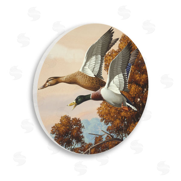 stupell industries Rod Lawrence | Autumn Wings Flying Ducks Wall Art