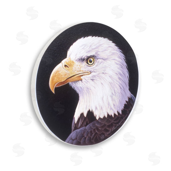 stupell industries Rod Lawrence | Bald Eagle Portrait Wall Art