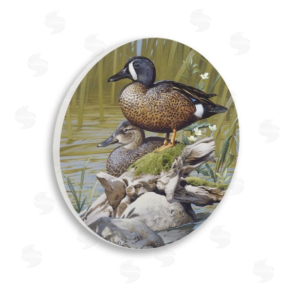 stupell industries Rod Lawrence | Blue Winged Teal Duck Wall Art