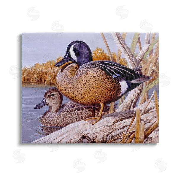 stupell industries Rod Lawrence | Ducks at Pond's Edge Wall Art
