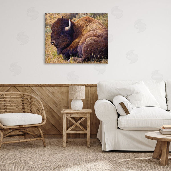 Stupell Industries Rod Lawrence | Relaxing Young Bison Wall Art