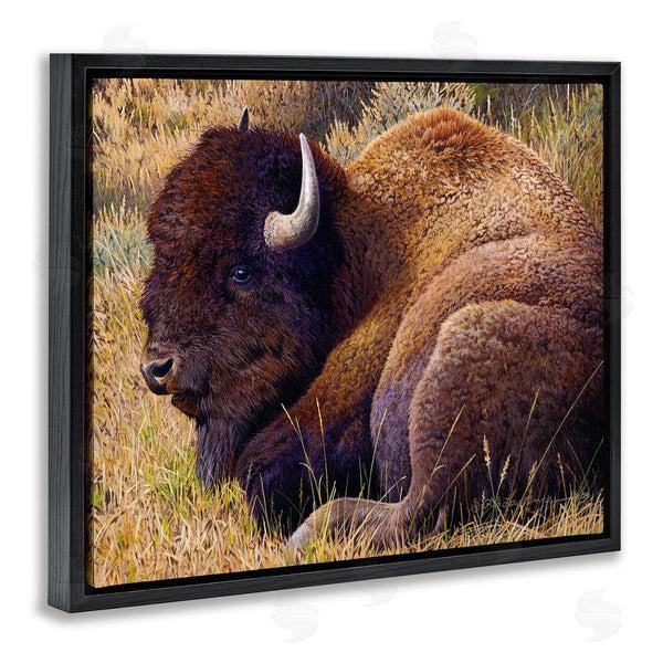 Stupell Industries Rod Lawrence | Relaxing Young Bison Wall Art