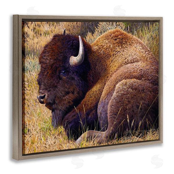 Stupell Industries Rod Lawrence | Relaxing Young Bison Wall Art