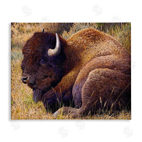stupell industries Rod Lawrence | Relaxing Young Bison Wall Art
