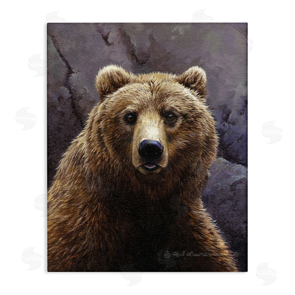 stupell industries Rod Lawrence | Surprised Bear Portrait Wall Art