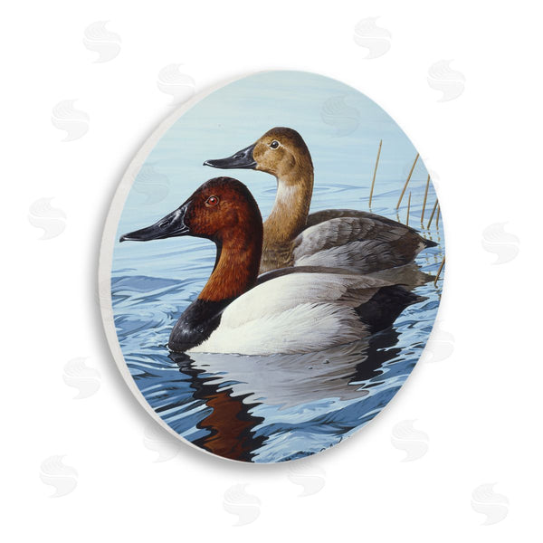 stupell industries Rod Lawrence | Traditional Canvasback Ducks Wall Art