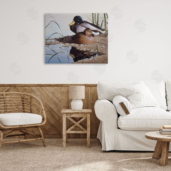 Stupell Industries Rod Lawrence | Two Ducks Water's Edge Wall Art