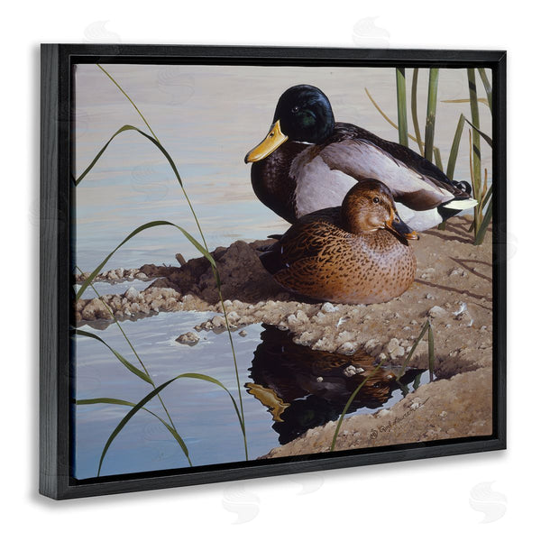 Stupell Industries Rod Lawrence | Two Ducks Water's Edge Wall Art