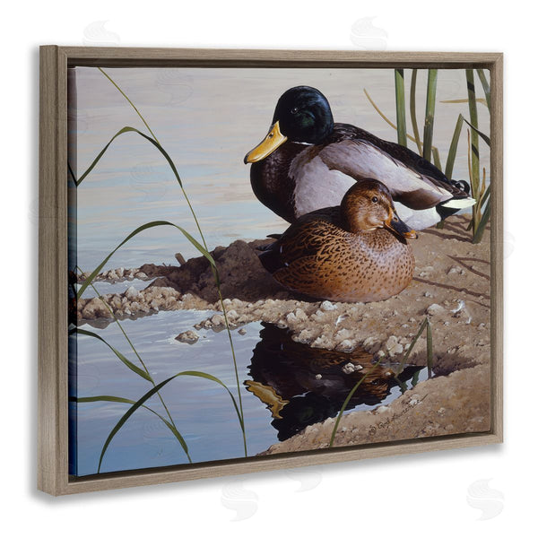 Stupell Industries Rod Lawrence | Two Ducks Water's Edge Wall Art