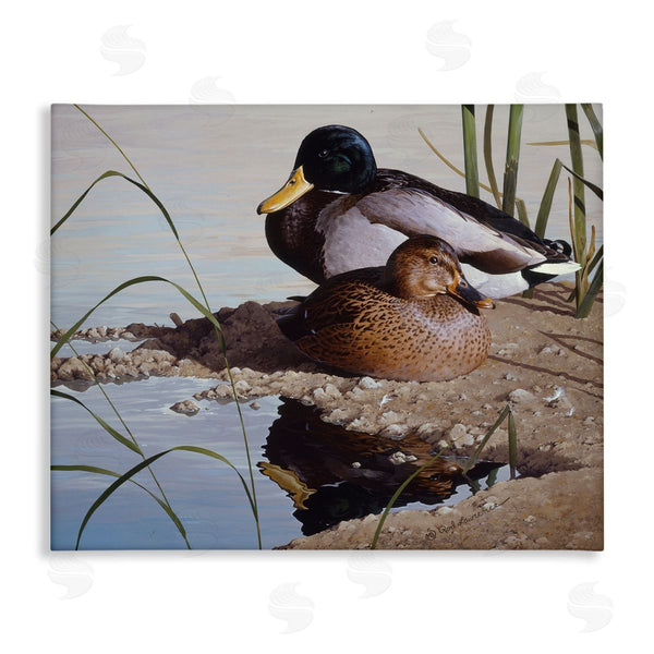 stupell industries Rod Lawrence | Two Ducks Water's Edge Wall Art
