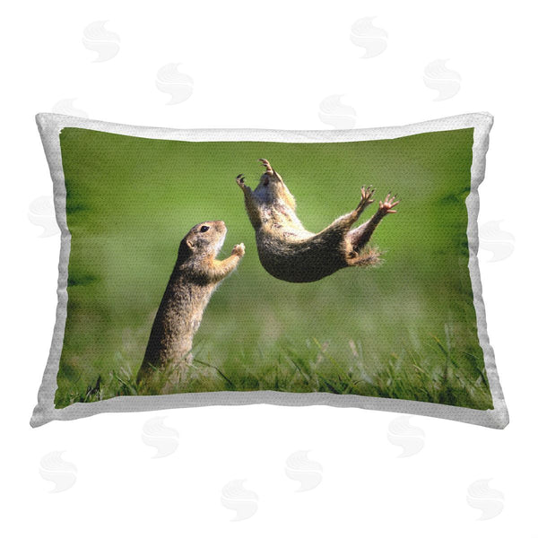 Stupell Industries Roland Kranitz | Funny Jumping Chipmunks