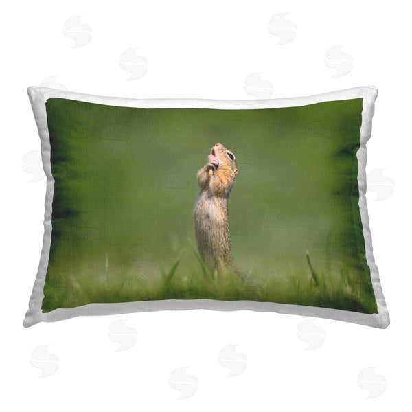 stupell industries Roland Kranitz | Funny Meerkat Posing