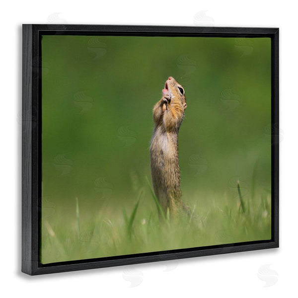 Stupell Industries Roland Kranitz | O Sole Mio Funny Animal Wall Art