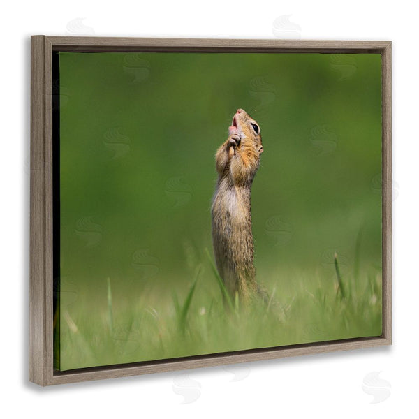 Stupell Industries Roland Kranitz | O Sole Mio Funny Animal Wall Art