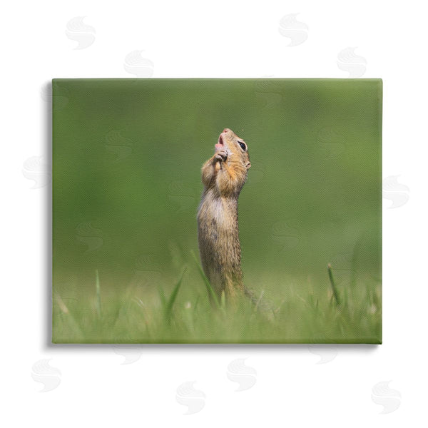 stupell industries Roland Kranitz | O Sole Mio Funny Animal Wall Art