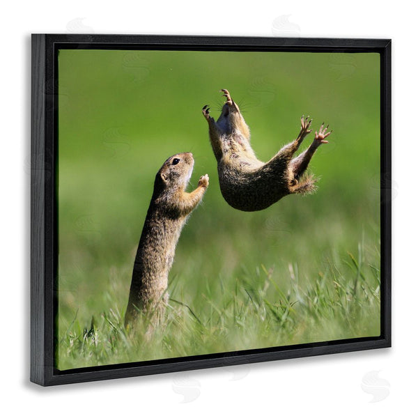 Stupell Industries Roland Kranitz | Prairie Dogs Photography Wall Art