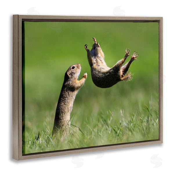 Stupell Industries Roland Kranitz | Prairie Dogs Photography Wall Art