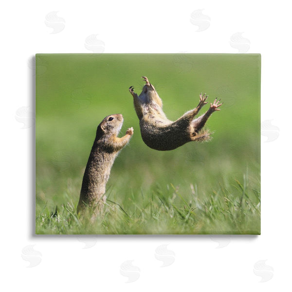 stupell industries Roland Kranitz | Prairie Dogs Photography Wall Art
