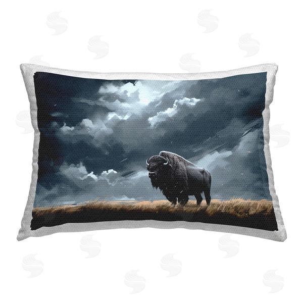 Stupell Industries Roozbeh Bahramali | Bison Silhouette With Clouds