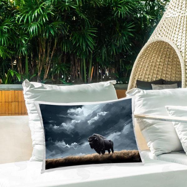 Stupell Industries Roozbeh Bahramali | Bison Silhouette With Clouds