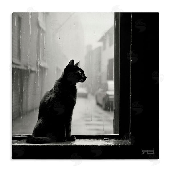 stupell industries Roozbeh Bahramali | Cat Gazing Rainy Window Wall Art