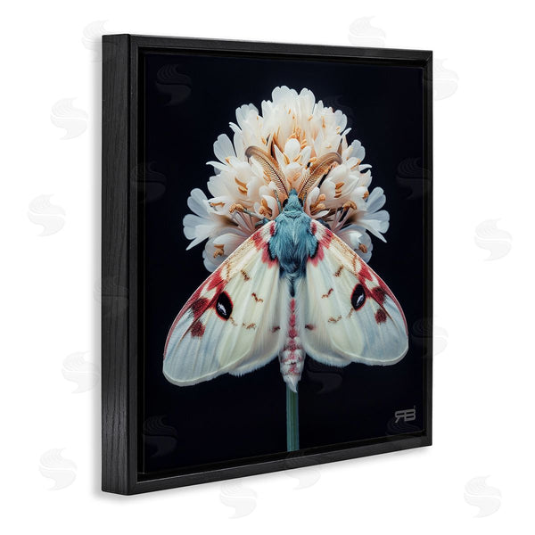 Stupell Industries Roozbeh Bahramali | Moth And White Flowers