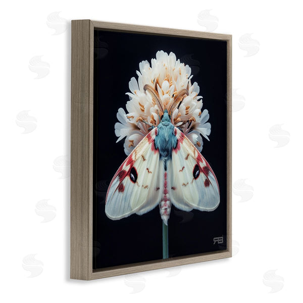 Stupell Industries Roozbeh Bahramali | Moth And White Flowers
