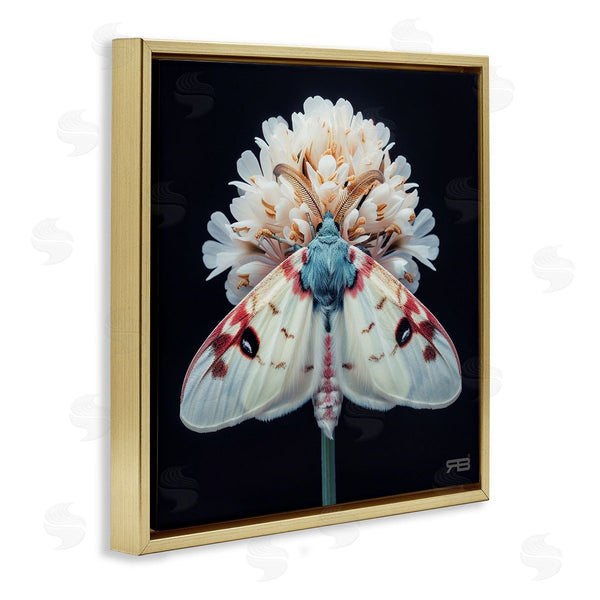 Stupell Industries Roozbeh Bahramali | Moth And White Flowers