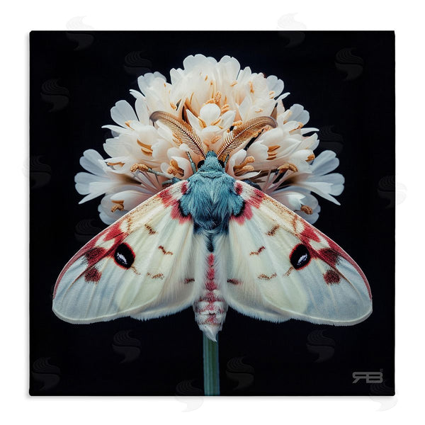stupell industries Roozbeh Bahramali | Moth and White Flowers