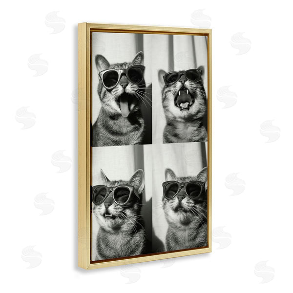 Stupell Industries Roozbeh Bahramali | Photobooth Style Cat