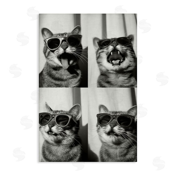 stupell industries Roozbeh Bahramali | Photobooth Style Cat