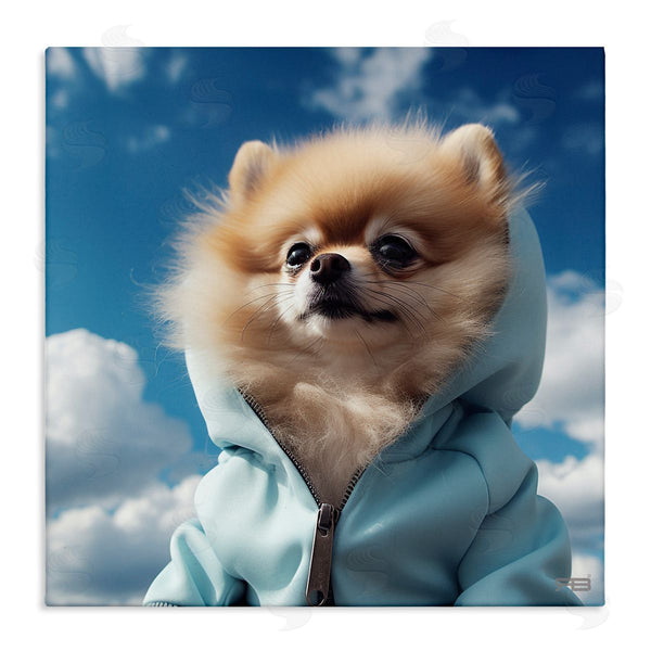 stupell industries Roozbeh Bahramali | Pomeranian Dog and Clouds
