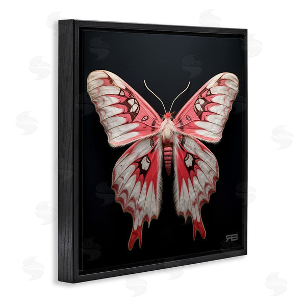 Stupell Industries Roozbeh Bahramali | Red And White Moth Wall Art