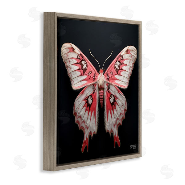 Stupell Industries Roozbeh Bahramali | Red And White Moth Wall Art