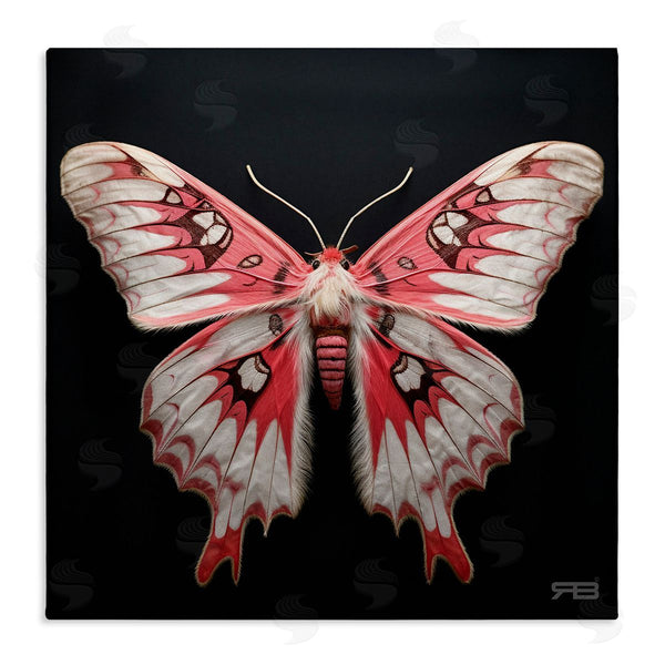 stupell industries Roozbeh Bahramali | Red and White Moth Wall Art