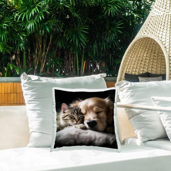 Stupell Industries Roozbeh | Sleeping Dog & Cat Printed Throw Pillow