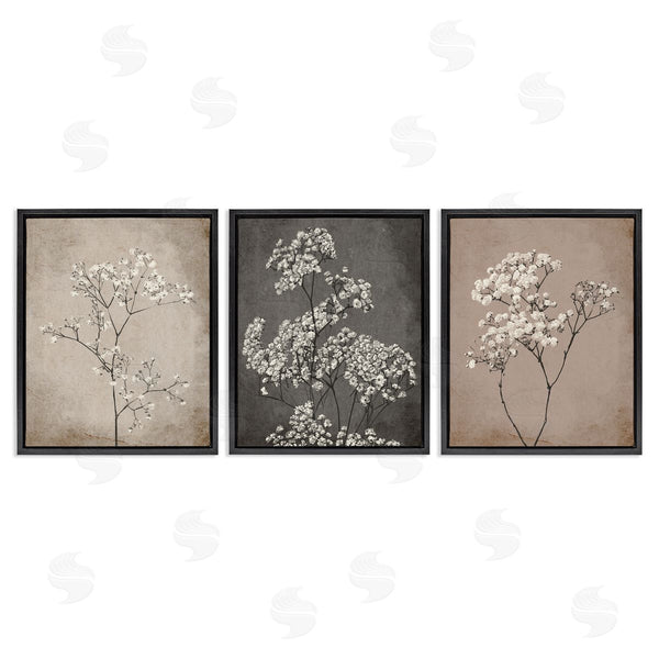 Stupell Industries Ros Ruseva | Botanical Baby's Breath Herbs Wall Art