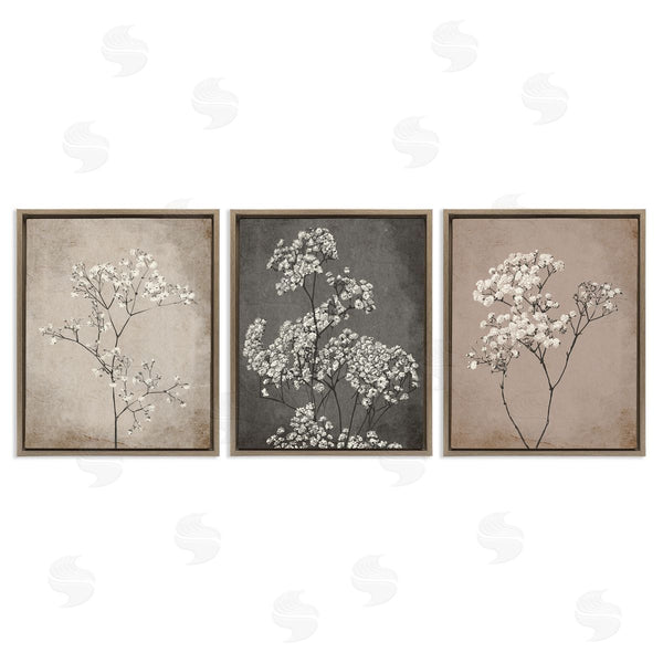 Stupell Industries Ros Ruseva | Botanical Baby's Breath Herbs Wall Art