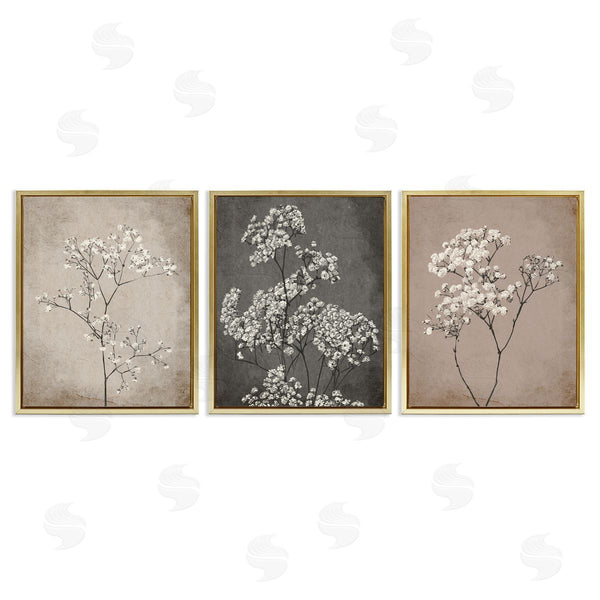 Stupell Industries Ros Ruseva | Botanical Baby's Breath Herbs Wall Art