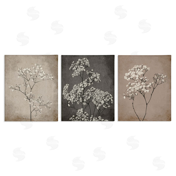 stupell industries Ros Ruseva | Botanical Baby's Breath Herbs Wall Art
