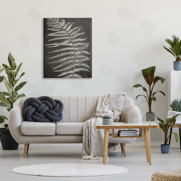 Stupell Industries Ros Ruseva | Fern Leaf On Grey Wall Art