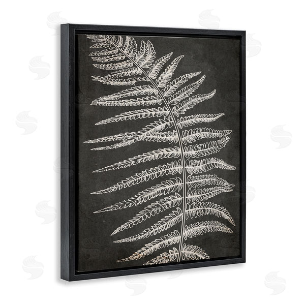 Stupell Industries Ros Ruseva | Fern Leaf On Grey Wall Art