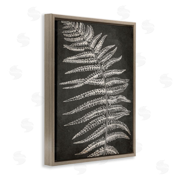 Stupell Industries Ros Ruseva | Fern Leaf On Grey Wall Art