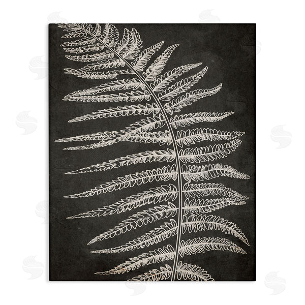 stupell industries Ros Ruseva | Fern Leaf on Grey Wall Art