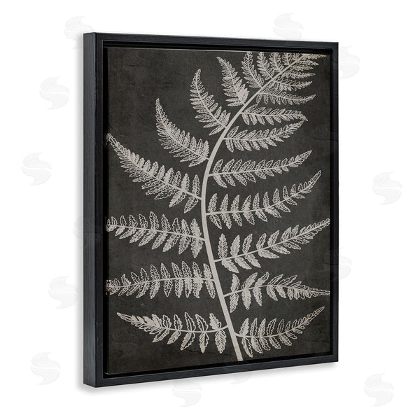 Stupell Industries Ros Ruseva | Woodland Fern Outline Wall Art