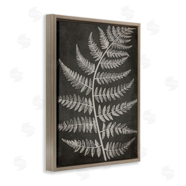 Stupell Industries Ros Ruseva | Woodland Fern Outline Wall Art