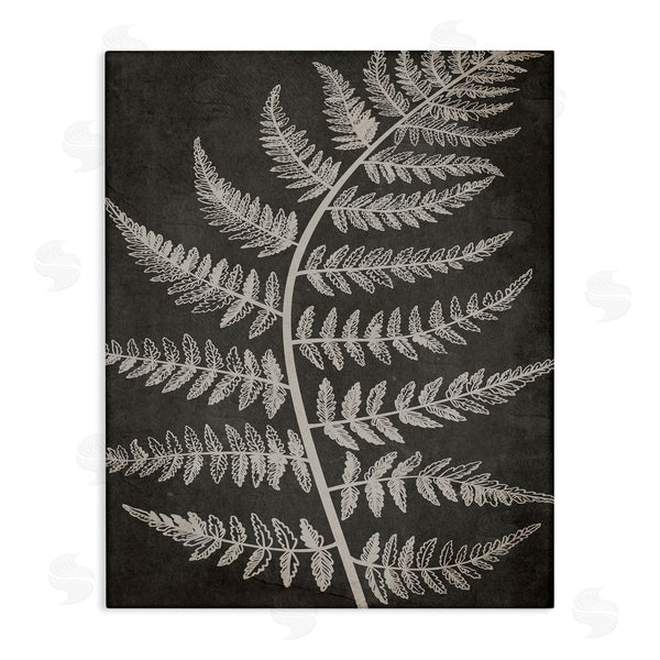 stupell industries Ros Ruseva | Woodland Fern Outline Wall Art