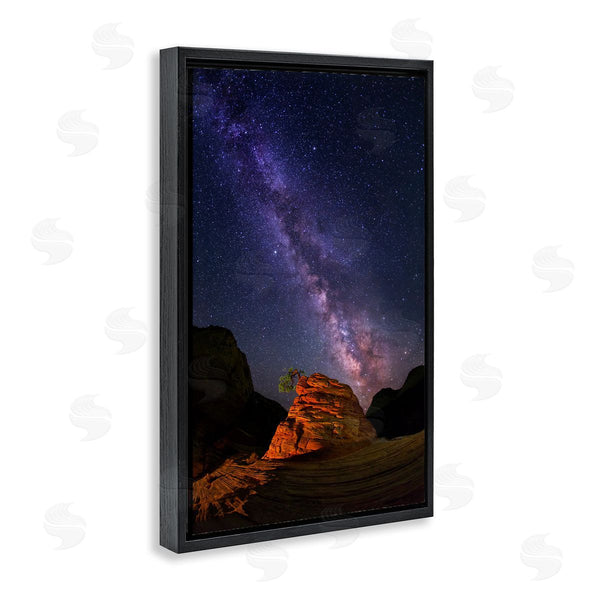 Stupell Industries Royce Bair | Milky Way Stars Over Canyon