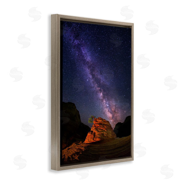 Stupell Industries Royce Bair | Milky Way Stars Over Canyon