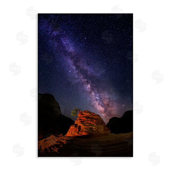 stupell industries Royce Bair | Milky Way Stars over Canyon